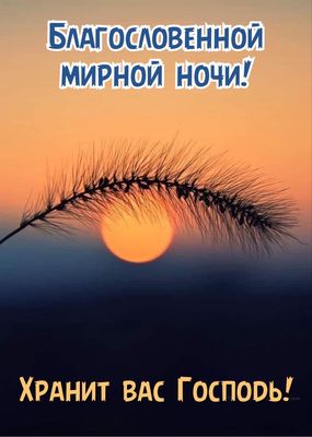 Открытка «Доброй ночи»: Доброй ночи: Благословенной мирной ночи!. Тэги: христианский, мирный