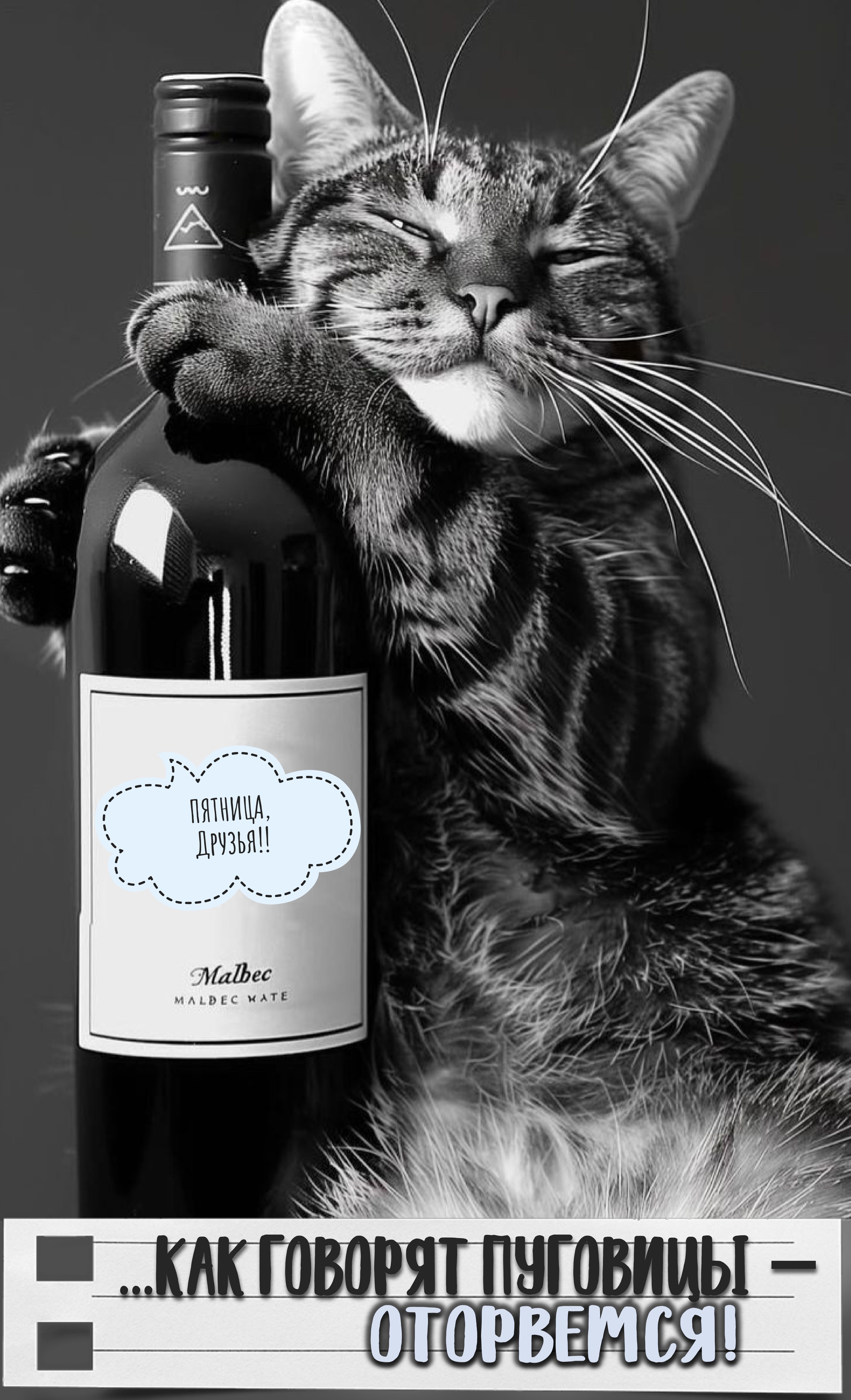 Открытка «Прикольный добрый вечер»: Добрый вечер, пятница! Смешной кот с вином. Тэги: Доброго вечера и хорошего настр…