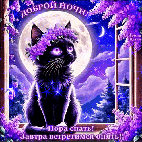 Открытка «Доброй ночи»: Доброй ночи: черный кот в цветах сирени.