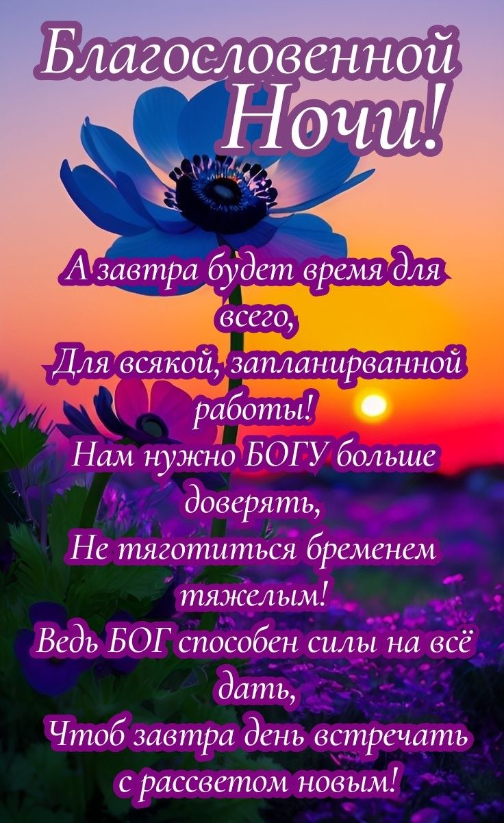 Открытка «Доброй ночи»: Спокойной ночи: христианское пожелание с анемоном. Тэги: Спокойной ночи, христианский, Спокой…