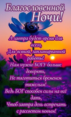 Открытка «Доброй ночи»: Спокойной ночи: христианское пожелание с анемоном. Тэги: Спокойной ночи, христианский, Спокой…