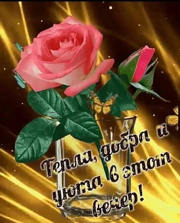Открытка «Добрый вечер и пожелания»: Добрый вечер: «Тепла и уюта» с розой. Тэги: Доброго вечера и хорошего настроения…