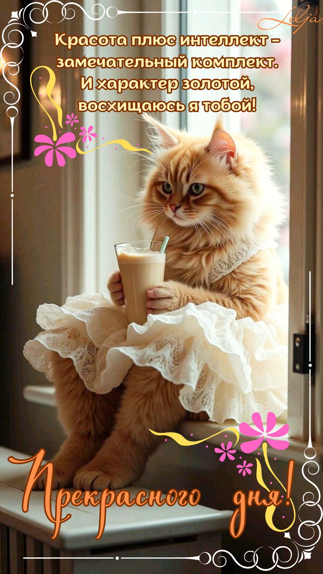 Открытка «Хорошего дня»: Добрый день: «Красивая кошка в платье». Тэги: Добрый день, Добрый день и добрые пожелания…