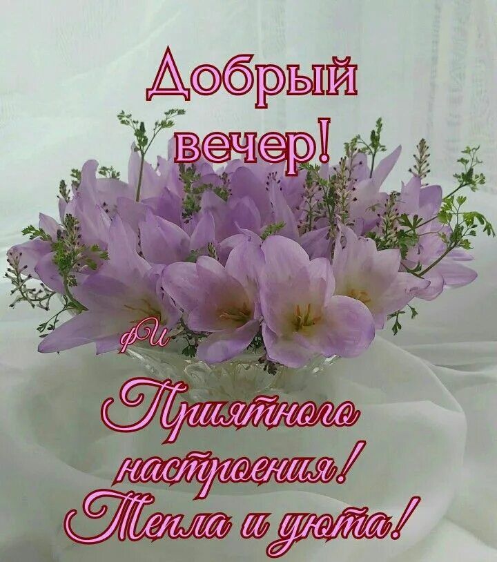 Открытка «Добрый вечер и пожелания»: Добрый вечер! Нежный букет для приятного настроения. Тэги: Доброго вечера и хоро…