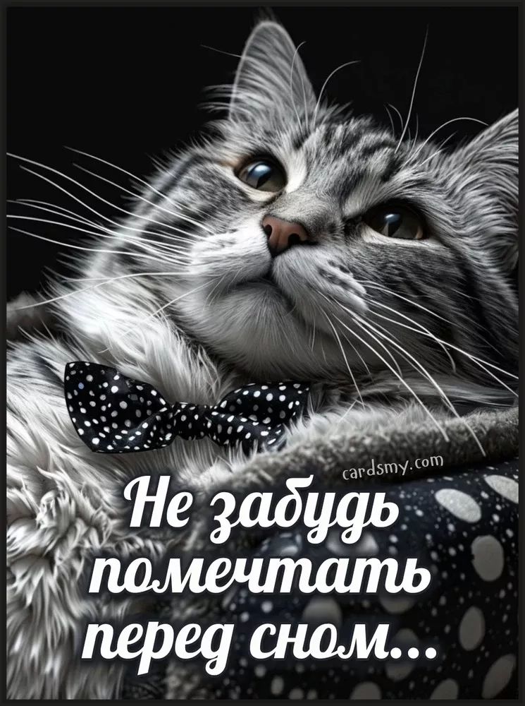 Открытка «Доброй ночи»: Доброй ночи: пожелание «Не забудь помечтать пред сном». Тэги: Спокойной ночи, Спокойной ночи…