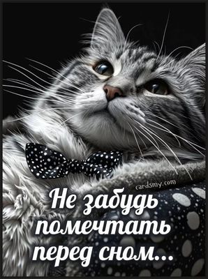 Открытка «Доброй ночи»: Доброй ночи: пожелание «Не забудь помечтать пред сном». Тэги: Спокойной ночи, Спокойной ночи…