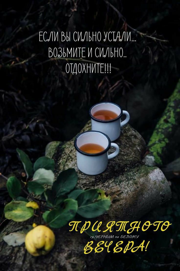 Открытка «Добрый вечер и пожелания»: Добрый вечер: мудрое пожелание отличного настроения. Тэги: Доброго вечера и хоро…