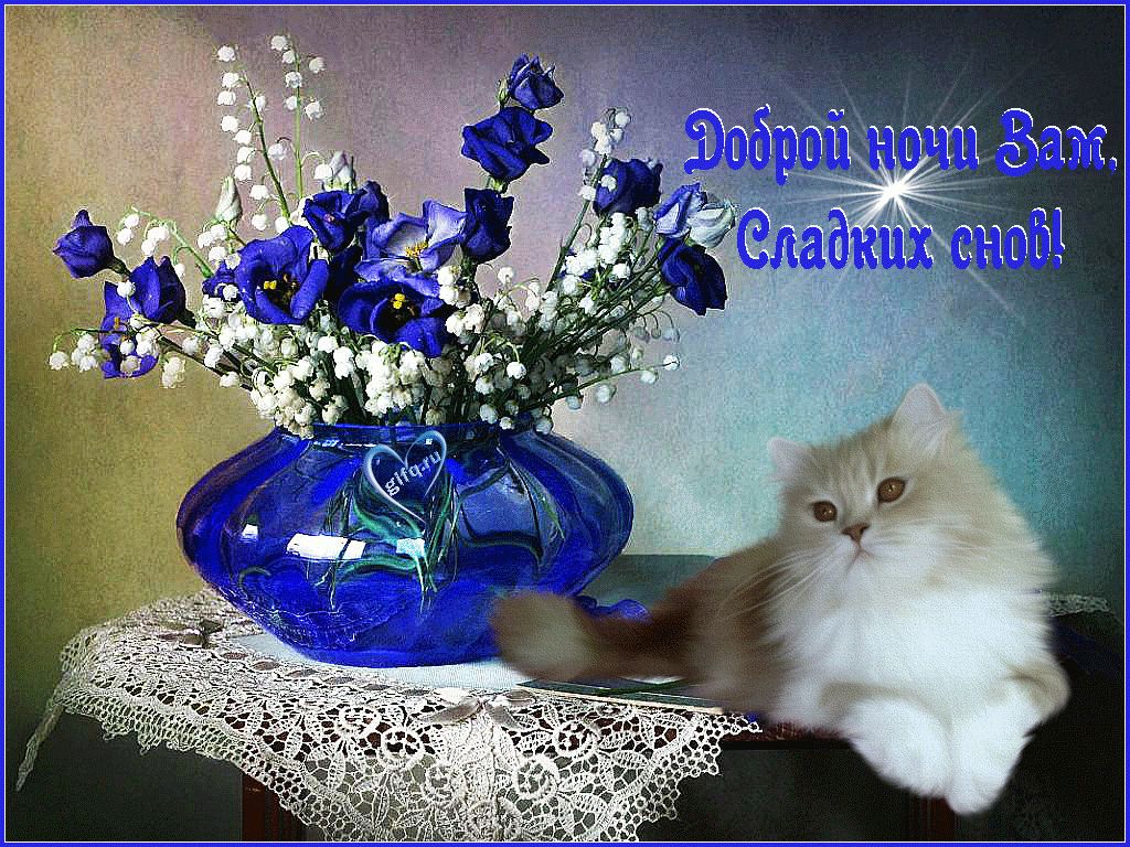 Открытка «Доброй ночи»: Доброй ночи: Нежный кот и букет синих цветов.