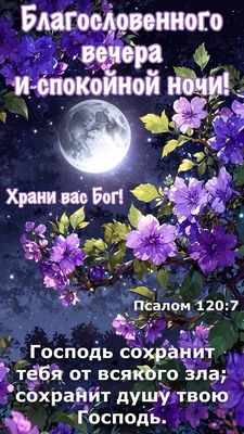 Открытка «Доброй ночи»: Христианское пожелание доброго вечера и спокойной ночи. Тэги: Спокойной ночи, ночной, христиа…