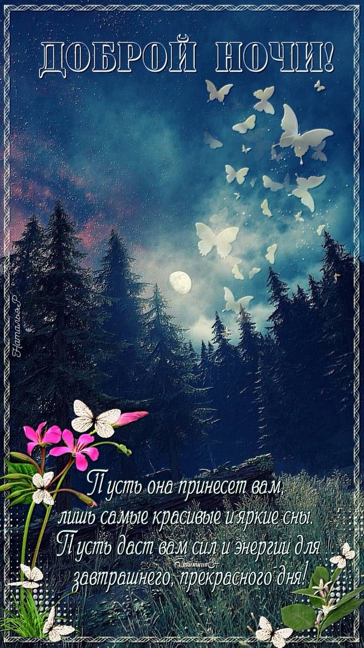 Открытка «Доброй ночи»: Доброй ночи: красивые сны в сказочном лесу. Тэги: Спокойной ночи, ночной, Спокойной ночи…