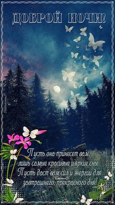 Открытка «Доброй ночи»: Доброй ночи: красивые сны в сказочном лесу. Тэги: Спокойной ночи, ночной, Спокойной ночи…
