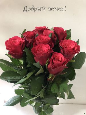 Открытка «Добрый вечер и пожелания»: Добрый вечер! Шикарный букет красных роз. Тэги: Добрый вечер красивые, Добрый ве…