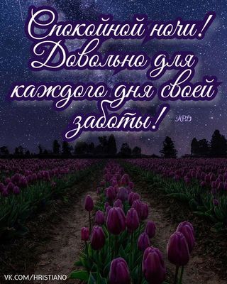 Открытка «Доброй ночи»: Спокойной ночи: Мудрое пожелание и поле тюльпанов. Тэги: Спокойной ночи, Спокойной ночи…