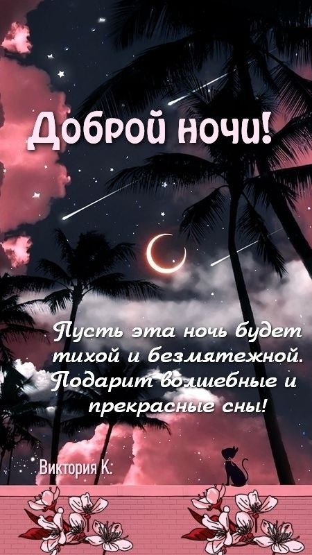 Открытка «Доброй ночи»: Доброй ночи: «Волшебные сны под пальмами». Тэги: Спокойной ночи, мечтательный, Спокойной ночи…