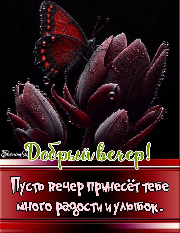 Открытка «Добрый вечер и пожелания»: Добрый вечер! Пусть он принесет радость и улыбку. Тэги: Добрый вечер красивые…