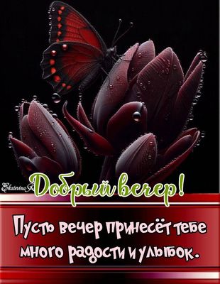 Открытка «Хорошего настроения»: Добрый вечер! Пусть он принесет радость и улыбку. Тэги: пожелание, радость, женщина…
