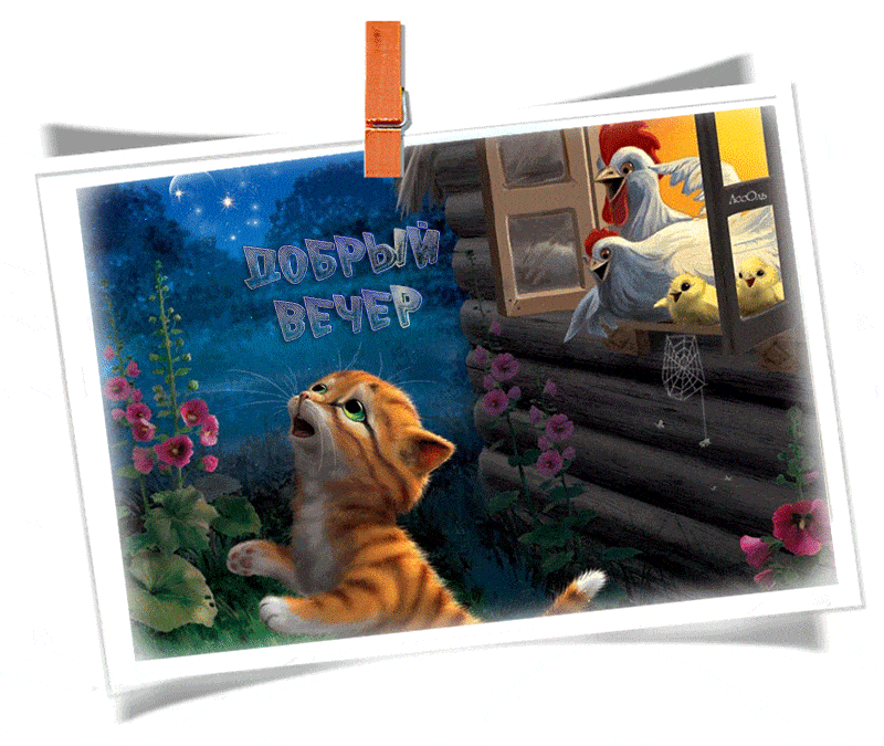 Открытка «Добрый вечер и пожелания»: Добрый вечер: милый рыжий котенок и звездное небо. Тэги: Добрый вечер красивые…