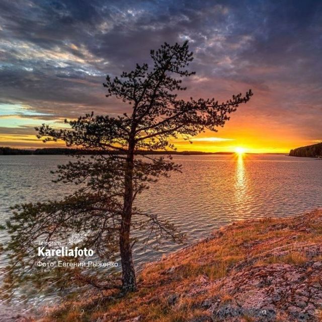 Открытка «Добрый вечер и пожелания»: Добрый вечер: «Закат в Карелии» на берегу озера. Тэги: Добрый вечер красивые…