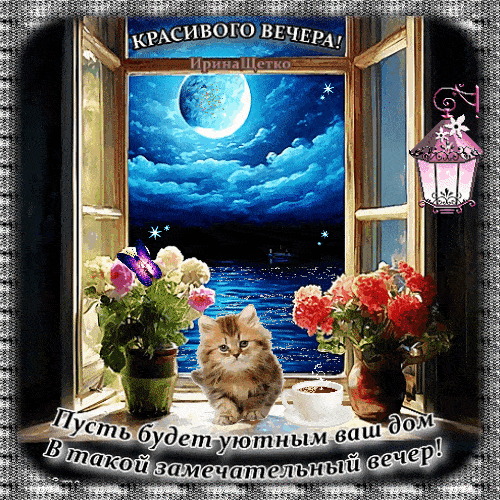 Открытка «Добрый вечер и пожелания»: Добрый вечер: пушистый котик у окна при луне. Тэги: Добрый вечер женщине, Добрый…