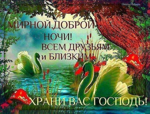 Открытка «Доброй ночи»: Доброй ночи: Мирное пожелание с лебедями. Тэги: христианский, мирный