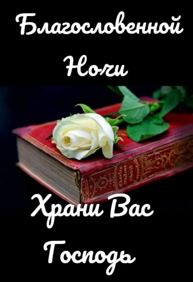 Открытка «Доброй ночи»: Доброй ночи: пожелание «Благословенной ночи» с розой. Тэги: христианский