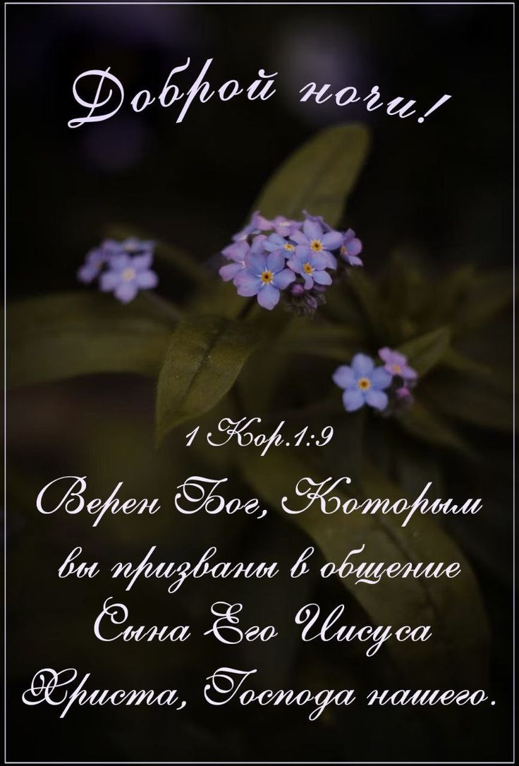 Открытка «Доброй ночи»: Доброй ночи: христианское пожелание с цветами. Тэги: проза, христианский, глубокий