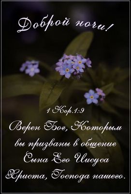 Открытка «Доброй ночи»: Доброй ночи: христианское пожелание с цветами. Тэги: проза, христианский, глубокий
