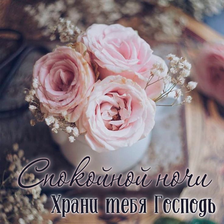 Открытка «Доброй ночи»: Спокойной ночи: Храни тебя Господь. Тэги: Спокойной ночи, христианский, Спокойной ночи…