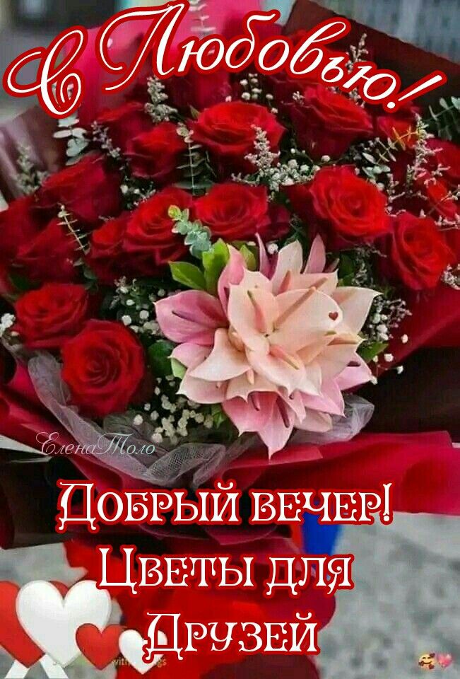 Открытка «Добрый вечер и пожелания»: Добрый вечер! Пышный букет роз для друзей. Тэги: Добрый вечер, с цветами, Добрый…