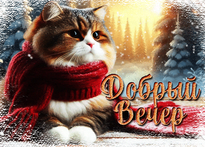 Открытка «Добрый вечер и пожелания»: Добрый вечер: пушистый кот в шарфе на фоне зимнего леса. Тэги: Добрый зимний веч…