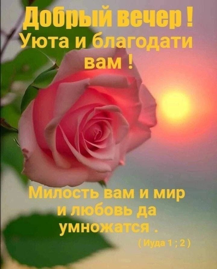 Открытка «Христианский»: Добрый вечер! Благословенная открытка с розой. Тэги: Добрый вечер и пожелания, Добрый вечер…