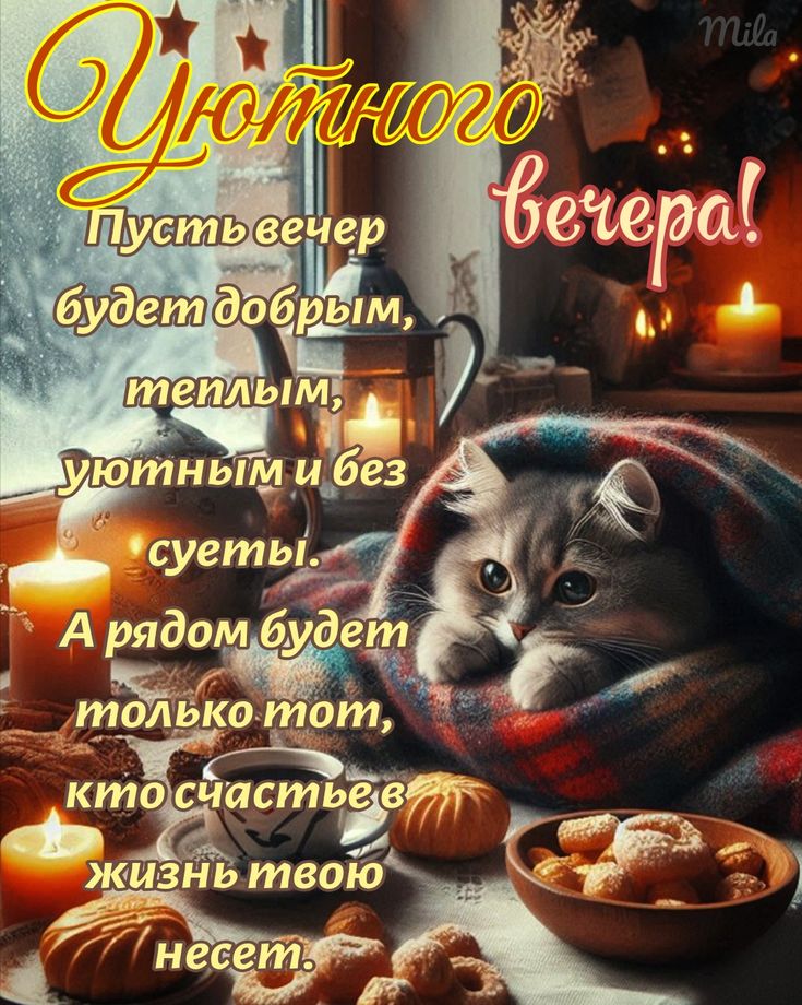 Открытка «Добрый вечер и пожелания»: Добрый вечер: Уютного вечера с милым котом. Тэги: Добрый зимний вечер, Доброго в…