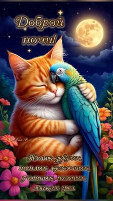 Открытка «Доброй ночи»: Доброй ночи: Милый кот и попугай в объятиях. Тэги: Спокойной ночи, Спокойной ночи, с пожелани…