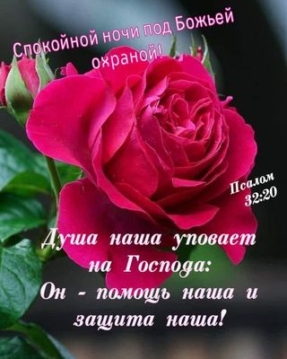 Открытка «Доброй ночи»: Спокойной ночи: Христианское пожелание с красной розой. Тэги: Спокойной ночи, надпись, прекра…