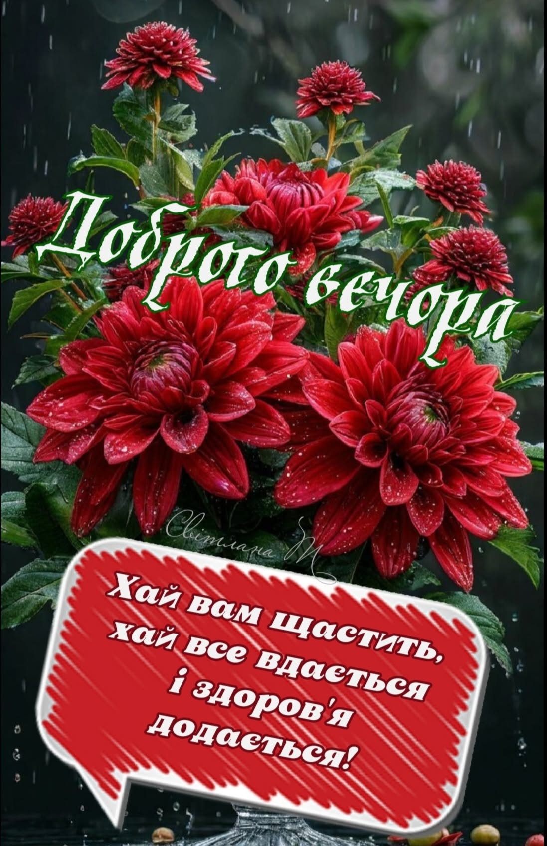 Открытка «Добрый вечер и пожелания»: Добрый вечер! Красивые красные цветы и пожелание. Тэги: Добрый вечер красивые…