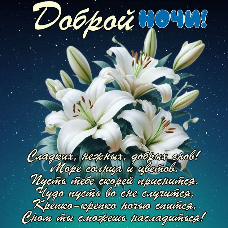 Открытка «Доброй ночи»: Доброй ночи: красивые белые лилии и доброе пожелание. Тэги: Спокойной ночи, пожелание, надпись…