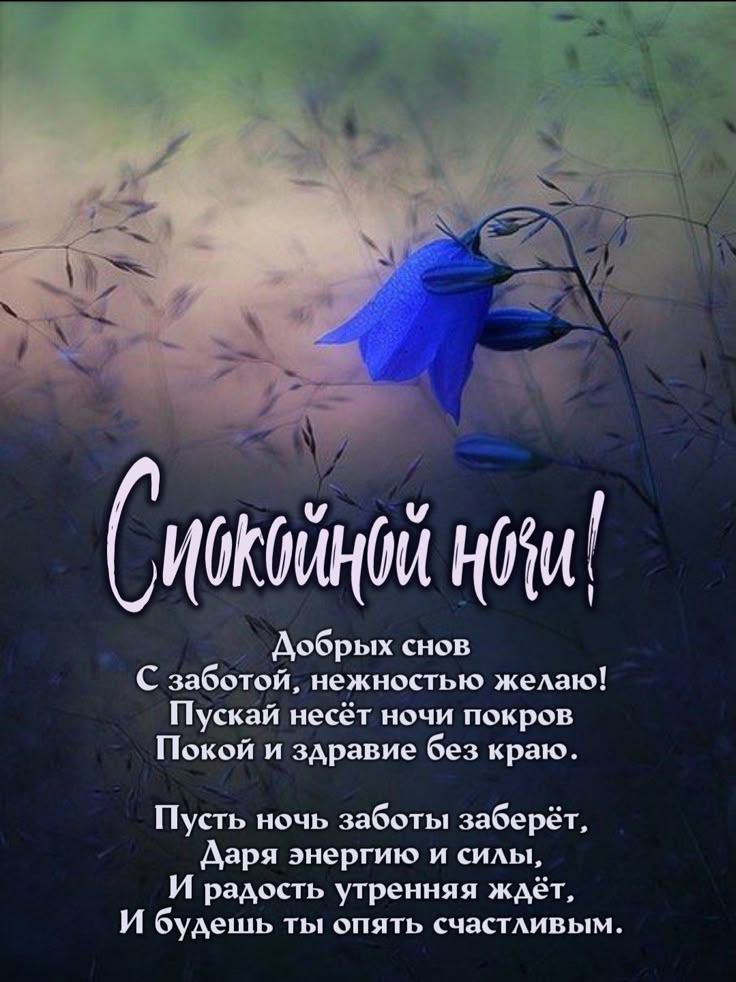 Открытка «Доброй ночи»: Спокойной ночи: душевное пожелание и синий цветок. Тэги: Спокойной ночи, Спокойной ночи…