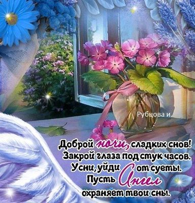 Открытка «Доброй ночи»: Доброй ночи: красивые пожелания и цветы в окне. Тэги: Спокойной ночи, пожелание, красивый…