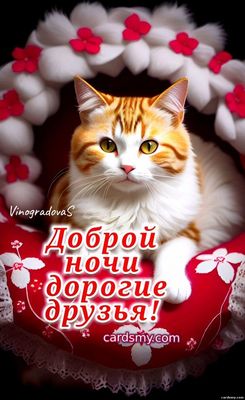 Открытка «Доброй ночи»: Доброй ночи: Милый рыжий кот для настроения друзьям. Тэги: Спокойной ночи, Спокойной ночи…