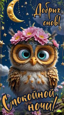 Открытка «Доброй ночи»: Спокойной ночи! Милая сова и пожелание добрых снов. Тэги: Спокойной ночи, Спокойной ночи…