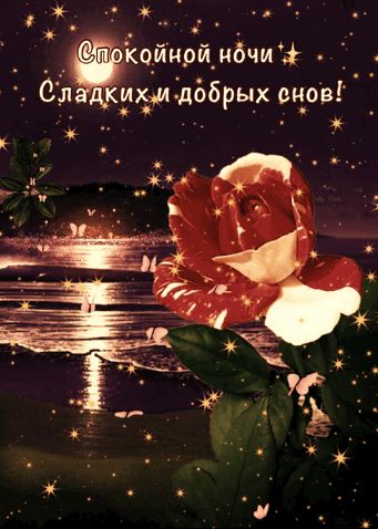 Открытка «Доброй ночи»: Спокойной ночи: Сладких и добрых снов с розой. Тэги: Спокойной ночи, ночной, Спокойной ночи…