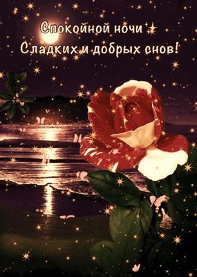 Открытка «Доброй ночи»: Спокойной ночи: Сладких и добрых снов с розой. Тэги: Спокойной ночи, ночной, Спокойной ночи…