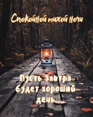Открытка «Доброй ночи»: Спокойной ночи: фонарь на лесной тропе. Тэги: Спокойной ночи, Спокойной ночи, с пожеланиями…