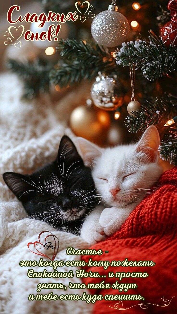 Открытка «Доброй ночи»: Доброй ночи: котята под елкой и пожелание сладких снов. Тэги: Спокойной ночи, Спокойной ночи…