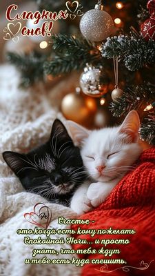Открытка «Доброй ночи»: Доброй ночи: котята под елкой и пожелание сладких снов. Тэги: Спокойной ночи, Спокойной ночи…