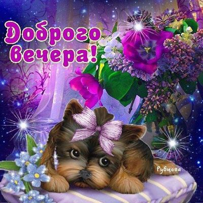 Открытка «Добрый вечер и пожелания»: Доброго вечера: картинка с милой собачкой и сиренью. Тэги: Добрый вечер красивые…