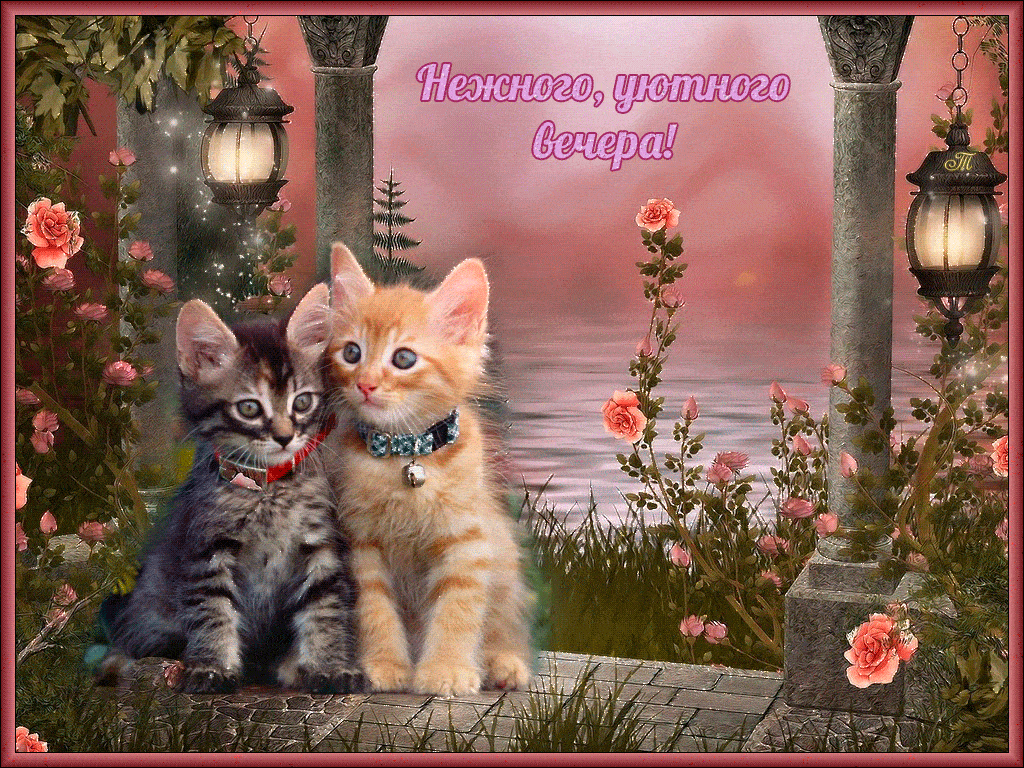 Открытка «Добрый вечер и пожелания»: Добрый вечер: милые котята и розы у воды. Тэги: Добыий вечер, гифки, Добрый вечер…