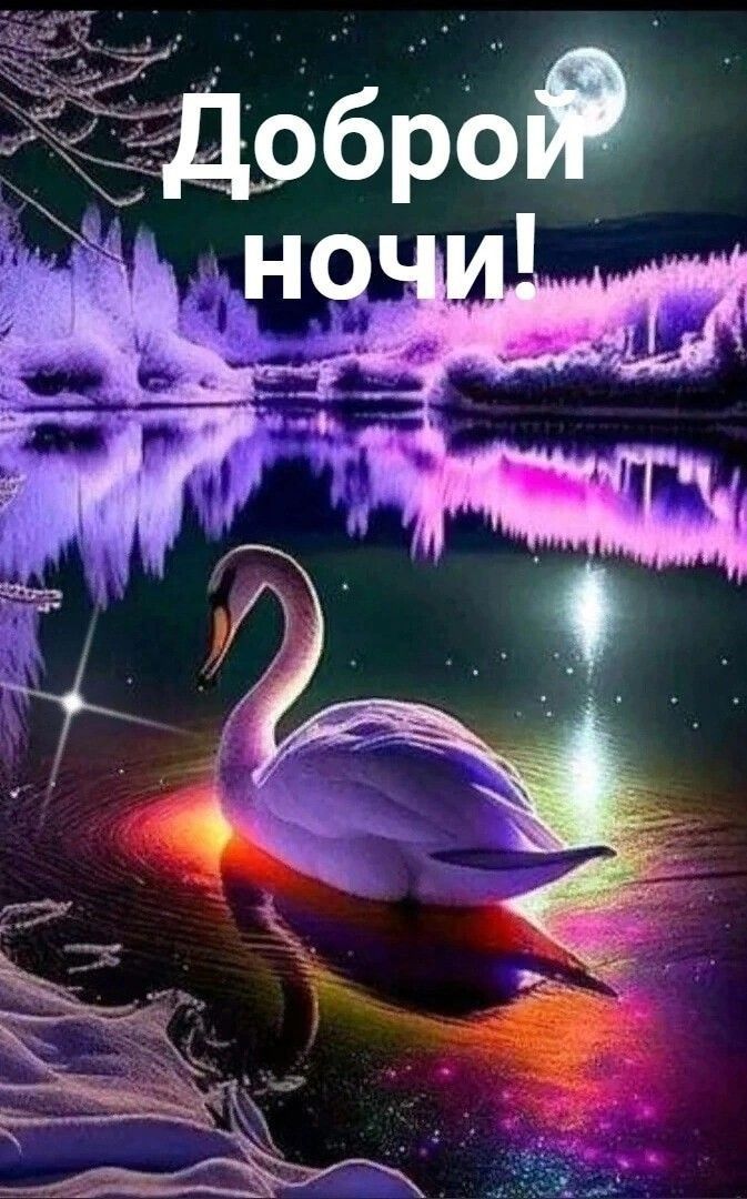 Открытка «Доброй ночи»: Доброй ночи: лебедь на озере под полной луной. Тэги: Спокойной ночи, Спокойной ночи, красивые…