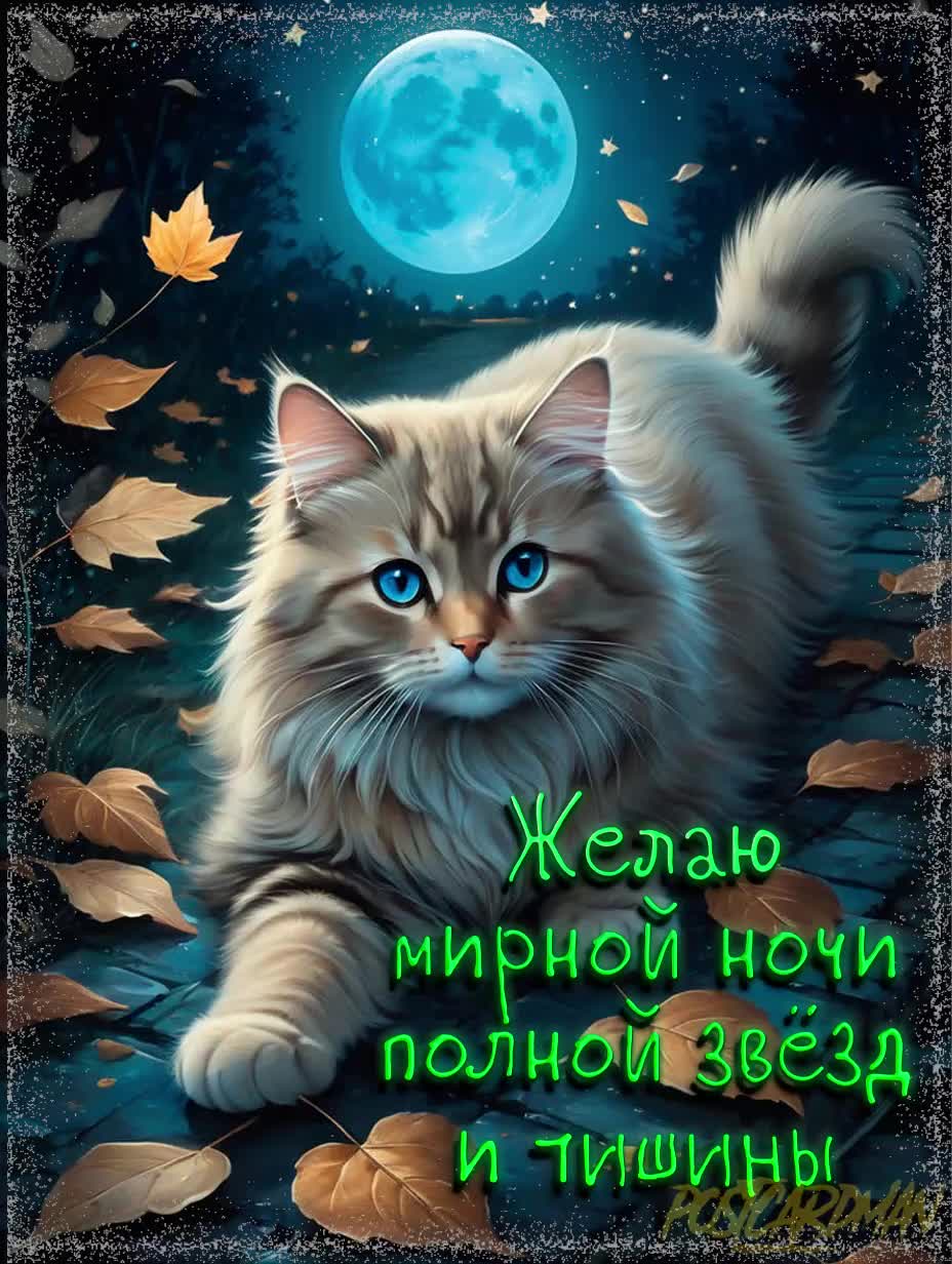 Открытка «Доброй ночи»: Мирной ночи: Пушистый кот под полной луной. Тэги: Спокойной ночи, Спокойной ночи, с пожелания…