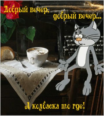 Открытка «Хорошего настроения»: Добрый вечер: прикольный кот желает хорошего настроения. Тэги: пожелание, смешной…